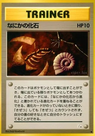 Mysterious Fossil - Mystery of the Fossils - Common