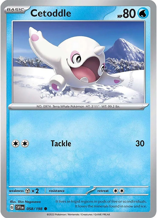 Cetoddle - 058/198 - Common - Scarlet & Violet - Pokemon - NM/M